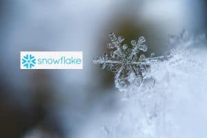 What is snowflake