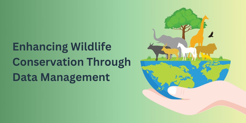 Wildlife conservation through Knowi