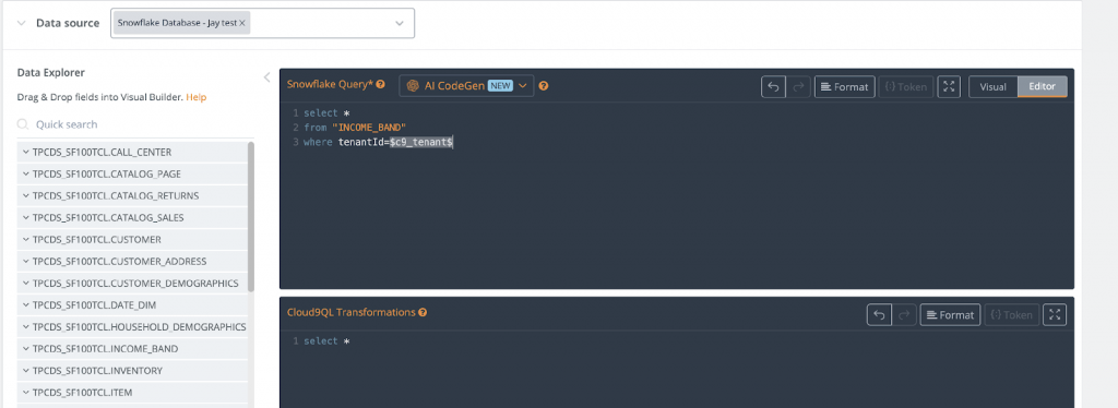 runtime parameters in your SQL queries