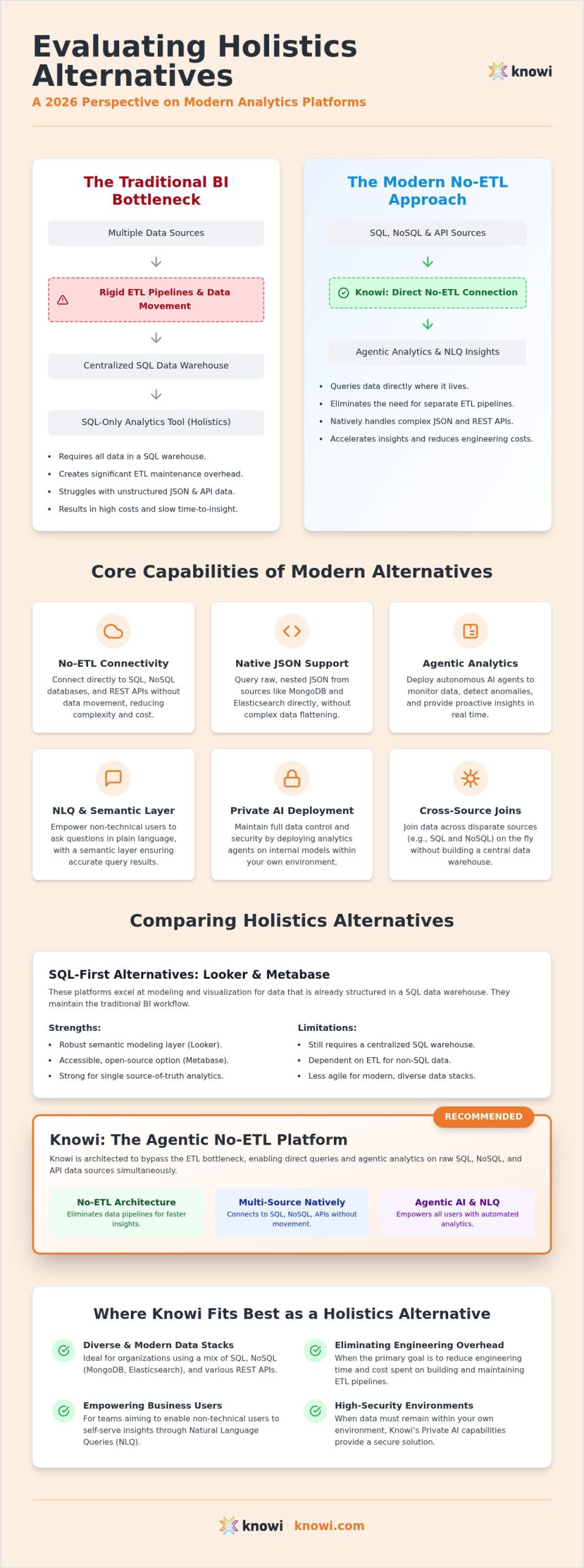 Holistics alternatives